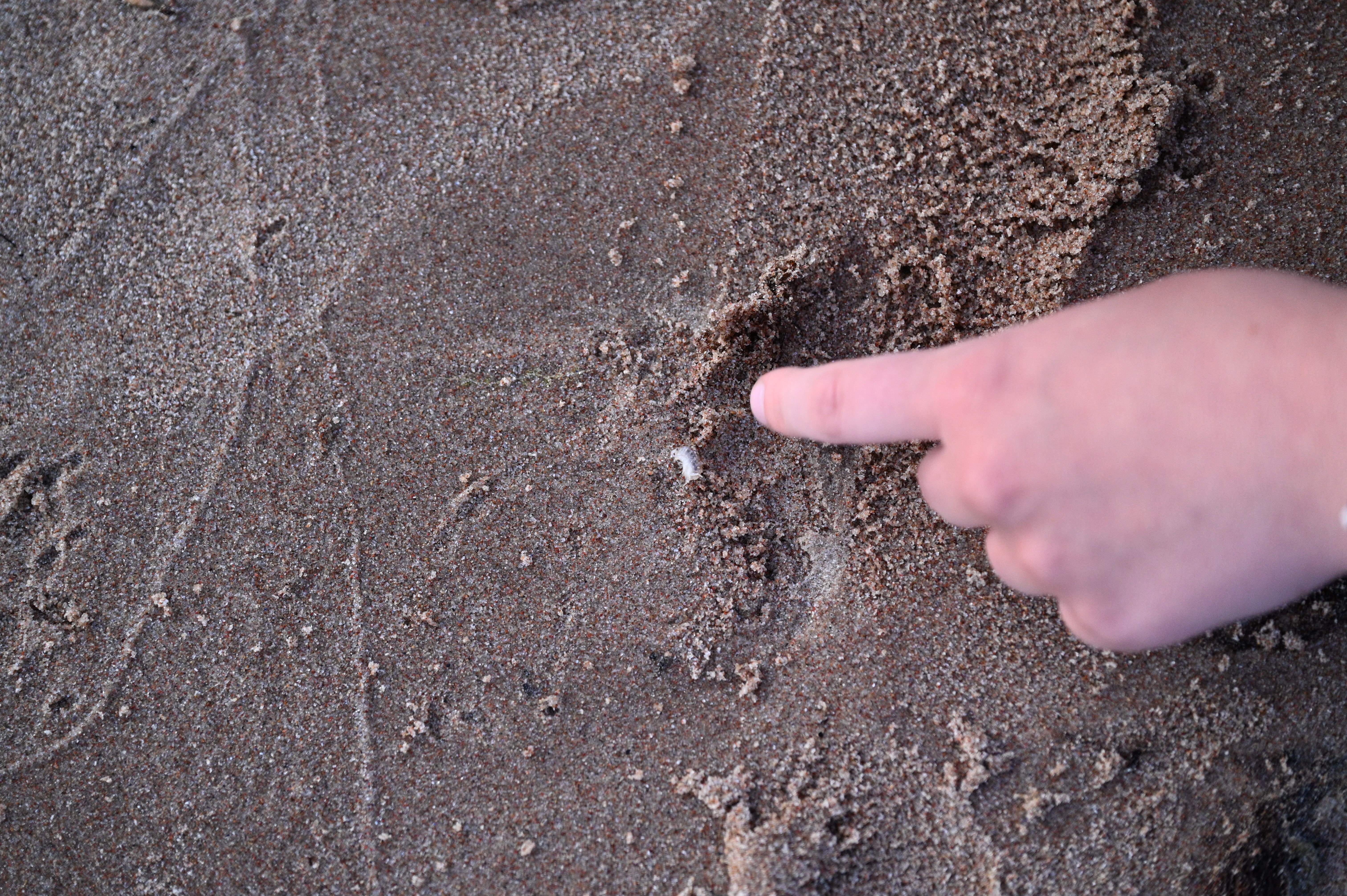 2025/07/09-14 - trip/DSC_0631.JPG